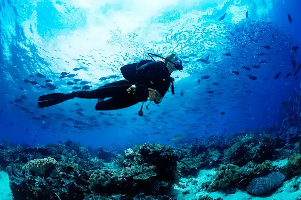 scubadiving Scubadiving in Andaman
